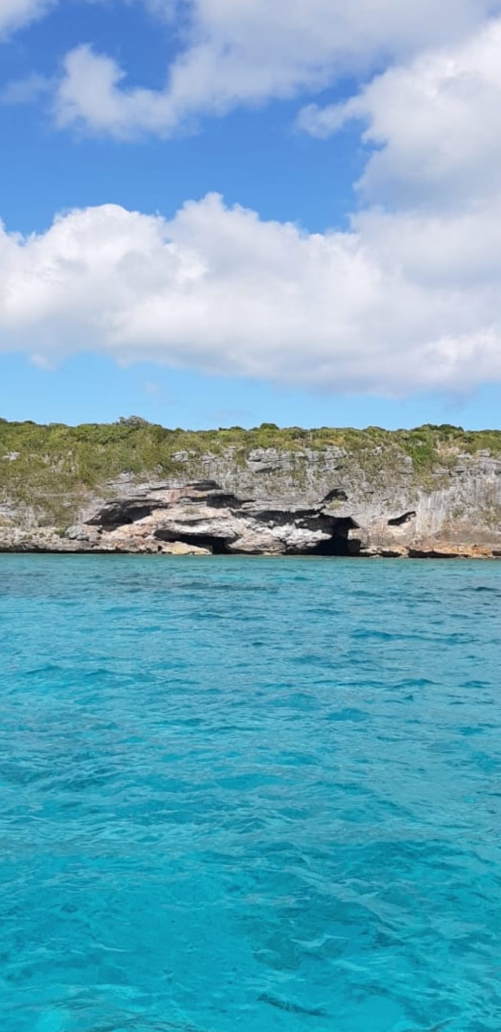 Fishing_Grounds_Bahamas_11