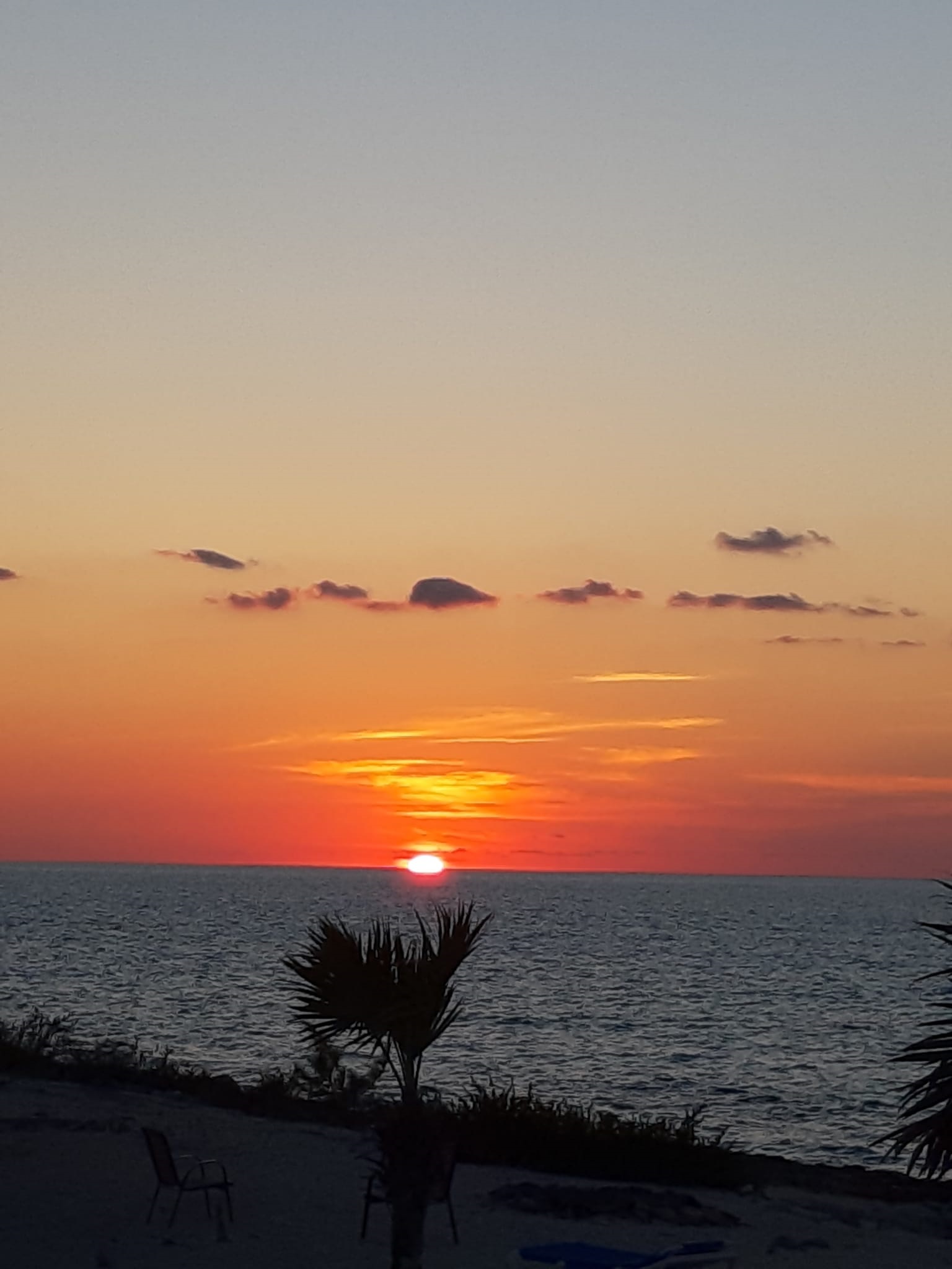 Fishing_Grounds_Bahamas_13