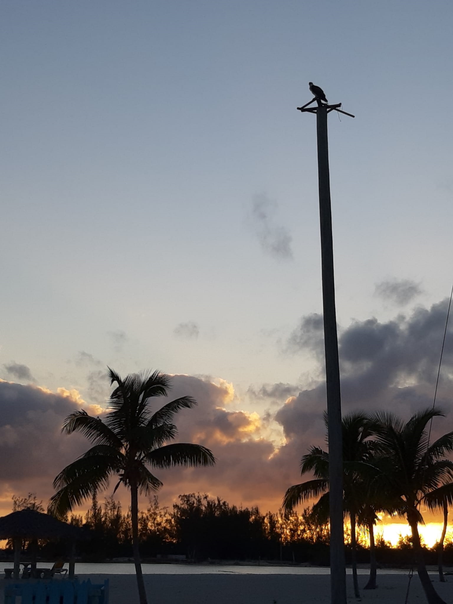 Fishing_Grounds_Bahamas_14