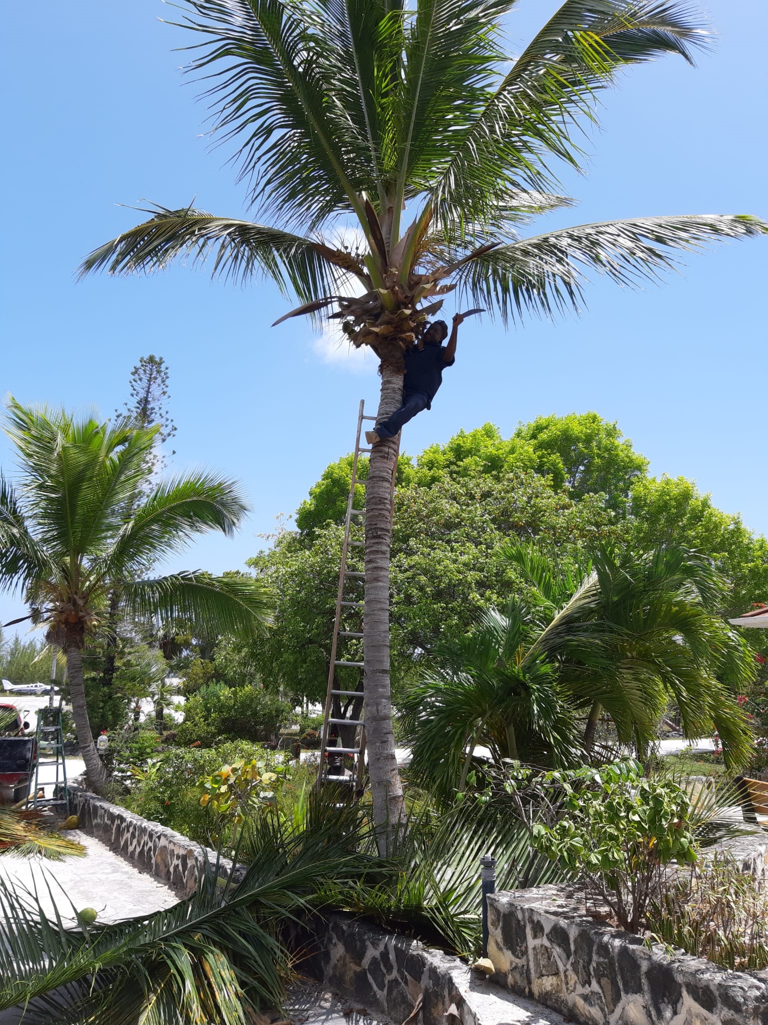 Fishing_Grounds_Bahamas_16