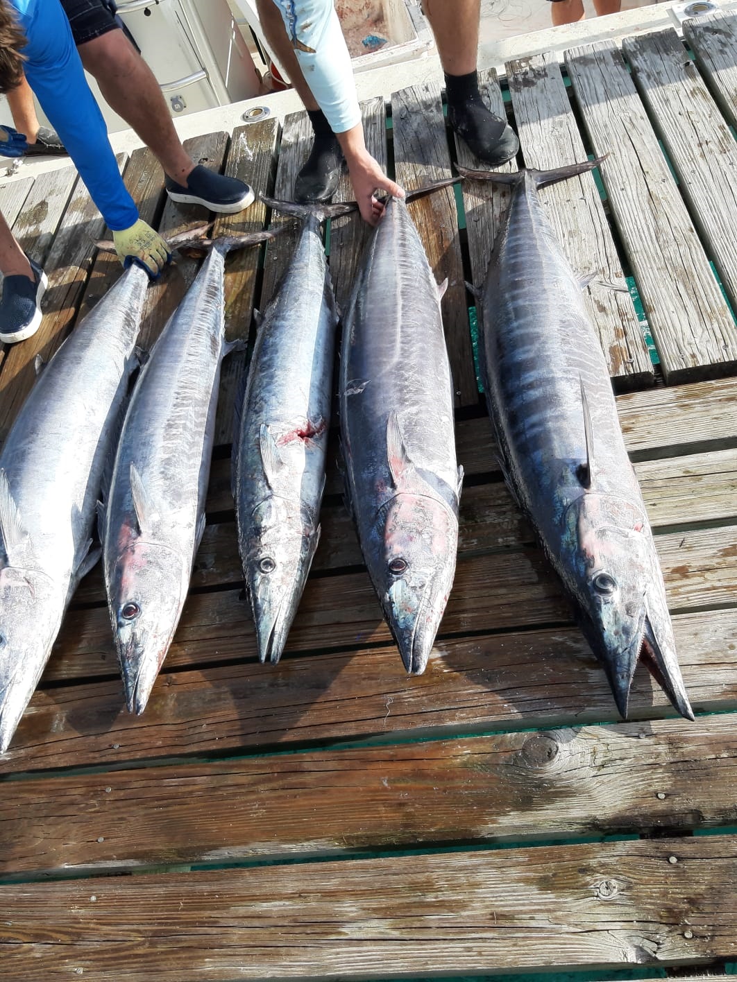 Fishing Grounds | Cat Island Bahamas