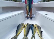Fishing Grounds | Cat Island Bahamas