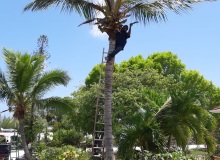 Fishing_Grounds_Bahamas_16