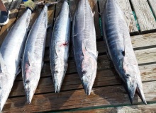 Fishing Grounds | Cat Island Bahamas
