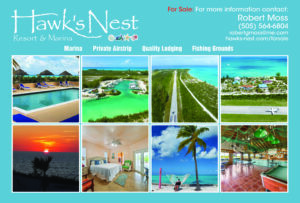 Commercial Real Estate For Sale in the Bahamas | Hawk's Nest Resort & Marina